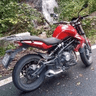 Red R.