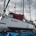 Chris Watusi 2.